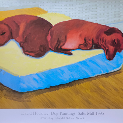 imgi_41_f737e7ce-97b4-4eea-9fa9-cd329e3ee084