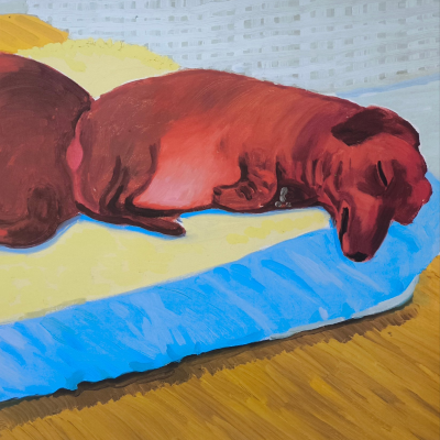 imgi_42_751a56b9-402e-444a-abdd-9e63392a5465